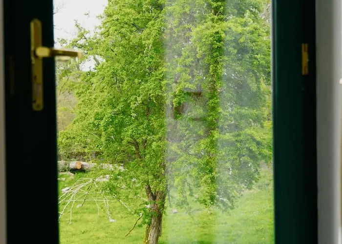 Ferienhaus Live Like Lords & Ladies At Our Country Estate Ballinasloe